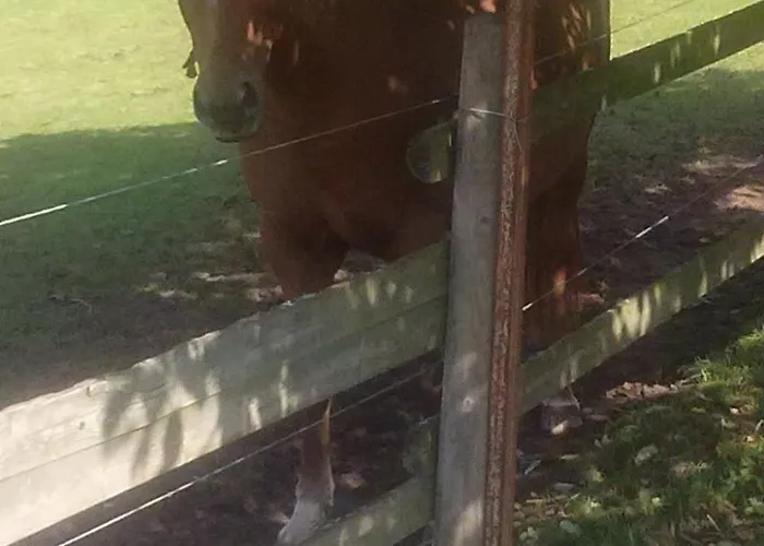 Laurence By Interhome Hanau