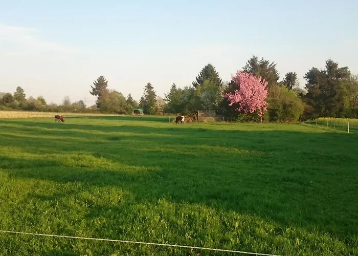 Laurence By Interhome Apartment *